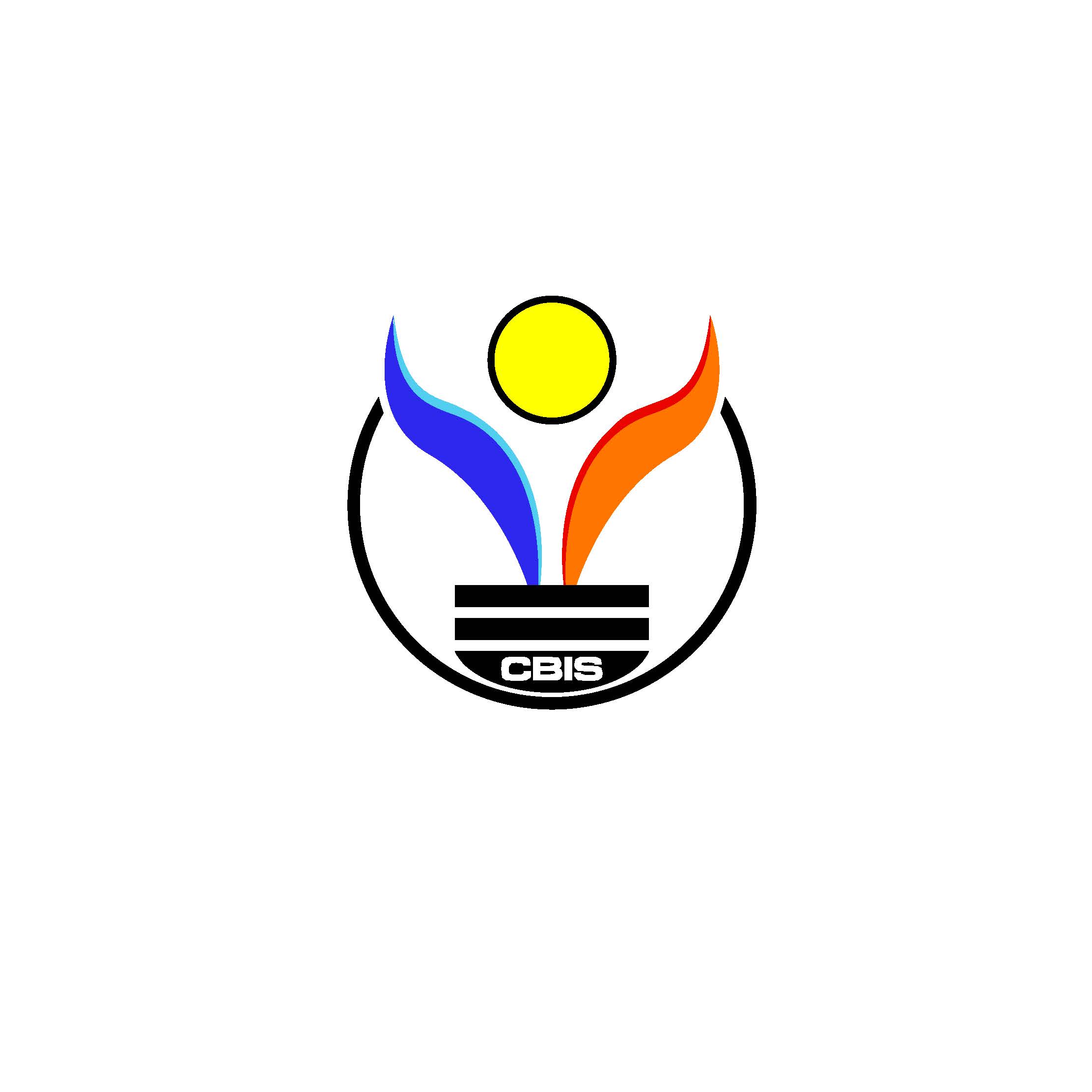 CBIS Solutions - Cybersecurity Experts Logo